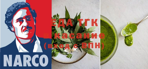 индика Алзамай